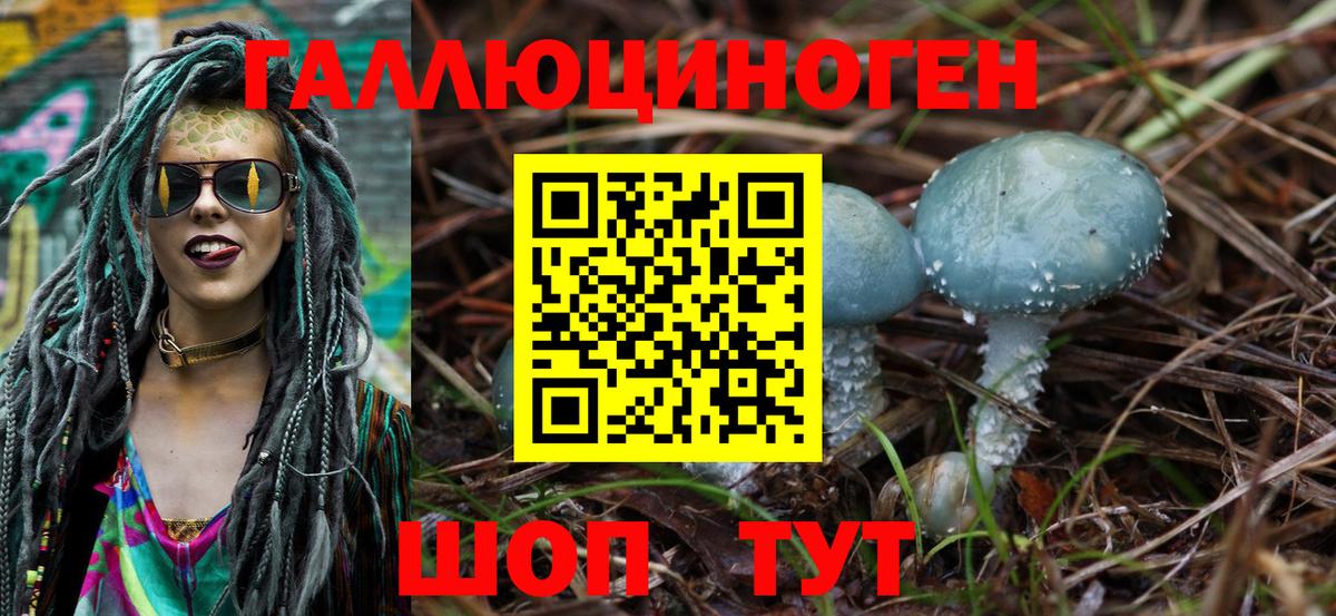 Галлюциногенные грибы GOLDEN TEACHER Кашира
