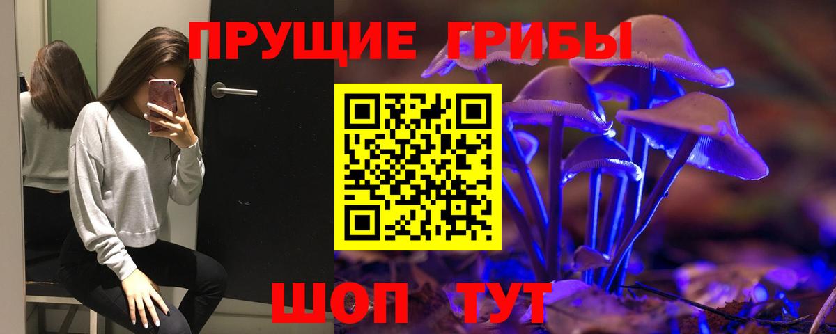 Псилоцибиновые грибы Psilocybine cubensis  Вход с VPN  Кашира 